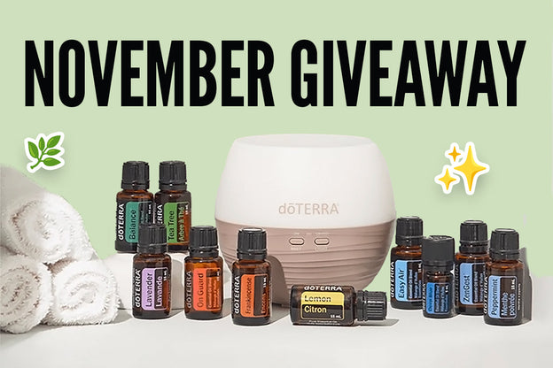 Monthly Giveaway - November 2026