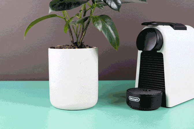 Second Life Of Coffee: How To Use Your Leftover Coffee Grounds