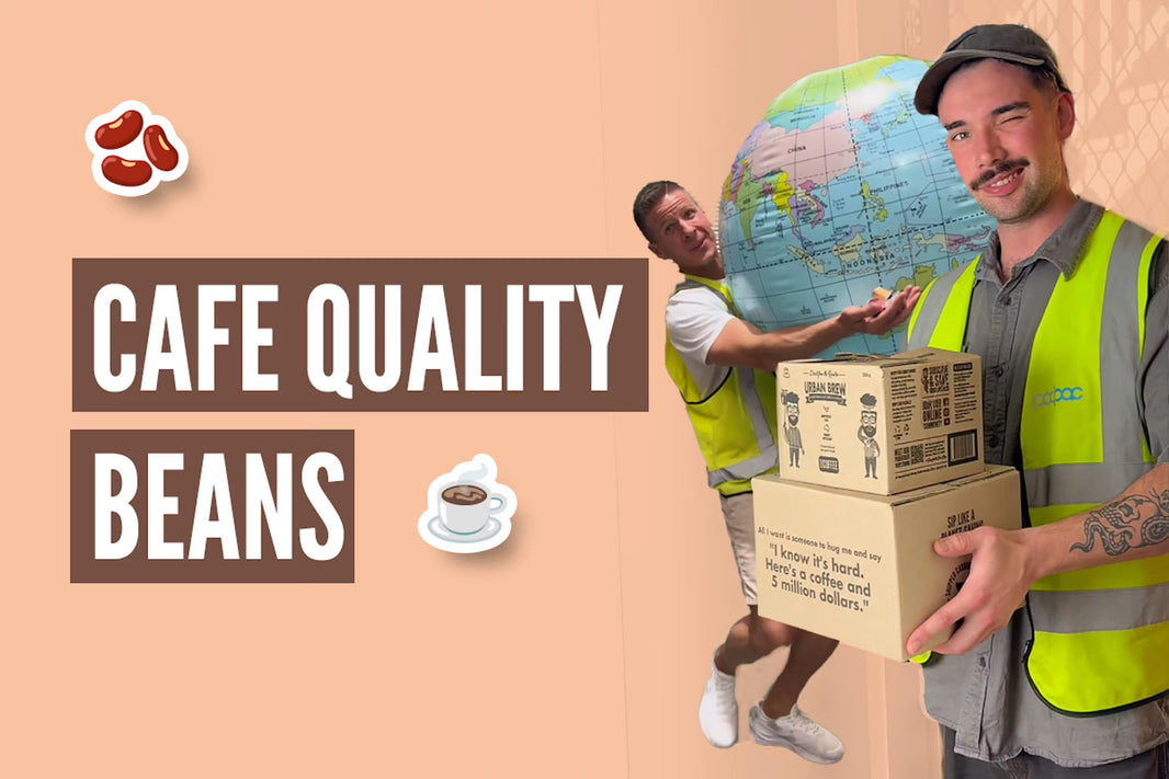 Beans Highlight: What makes our beans different