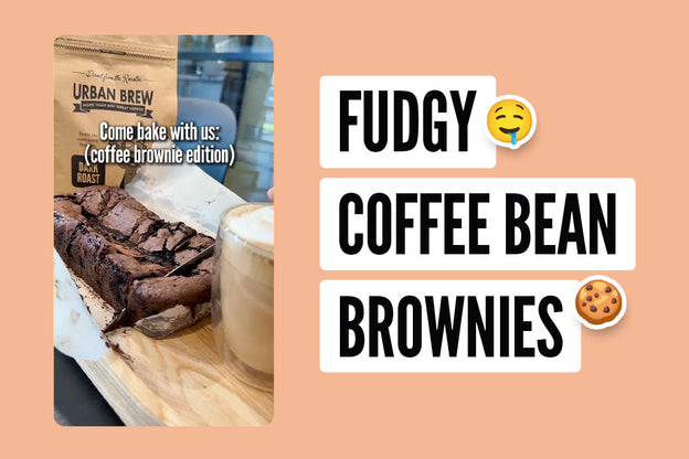 Fudgy Coffee Bean Brownies