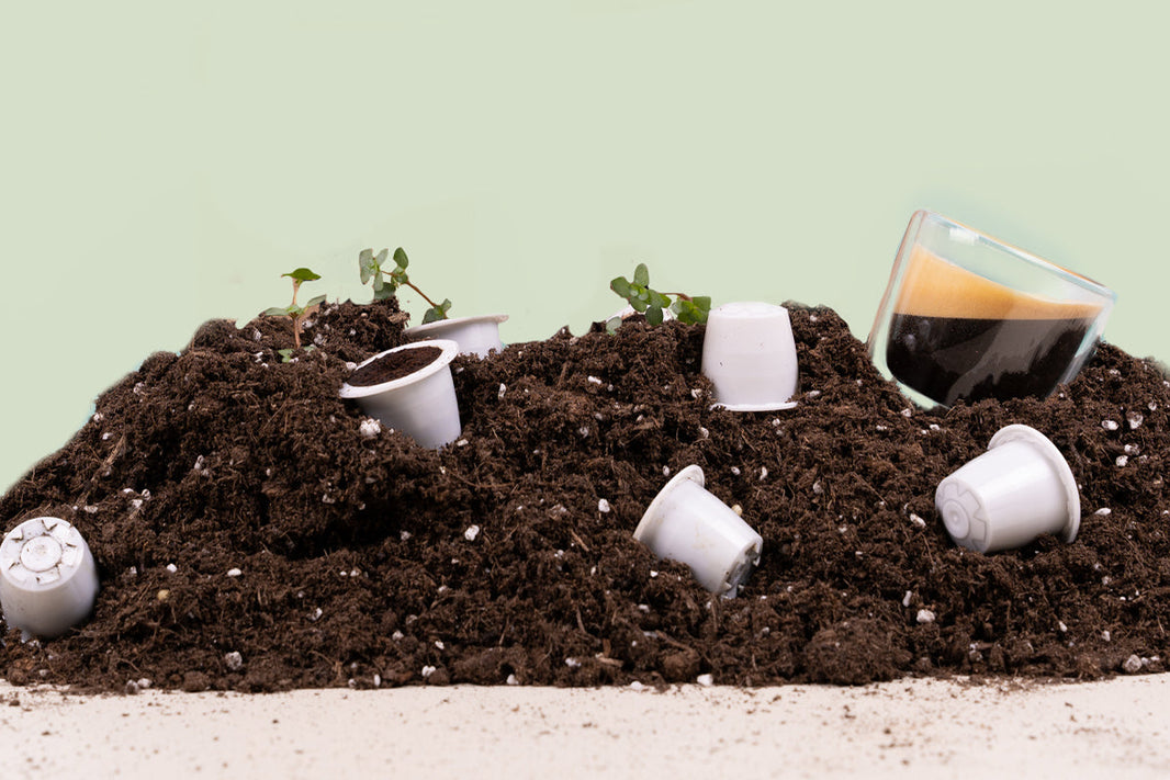 Your Coffee, Now Even Greener!