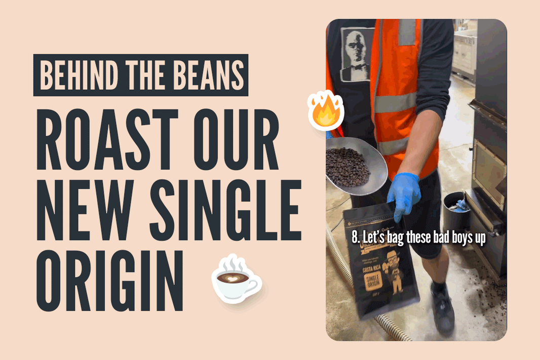 Behind The Beans: Roasting Our New Costa Rican "Tropical Sunrise" 🇨🇷