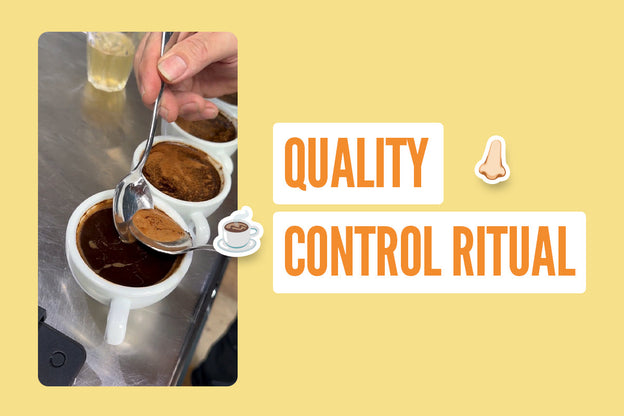 The Actual Magic of Coffee Cupping: How We Perfect Your Daily Pod